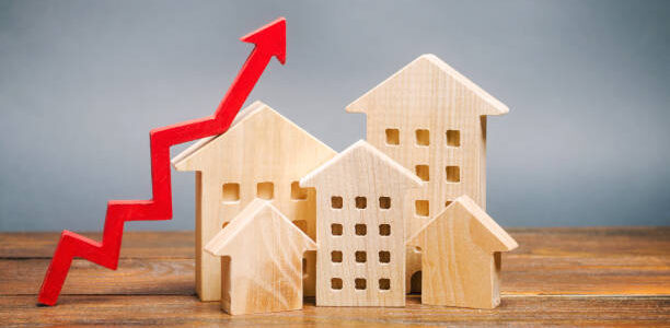l'investissement immobilier locatif